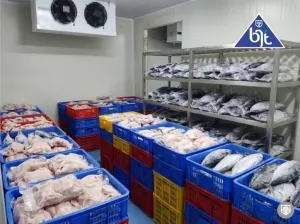 Cold Storage System: The Solution for Commercial Refrigeration by BJT